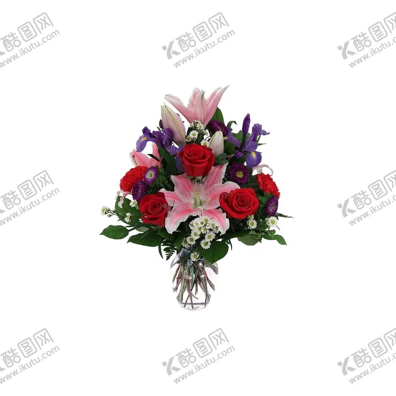 编号：30379601130855346362【酷图网】源文件下载-植物