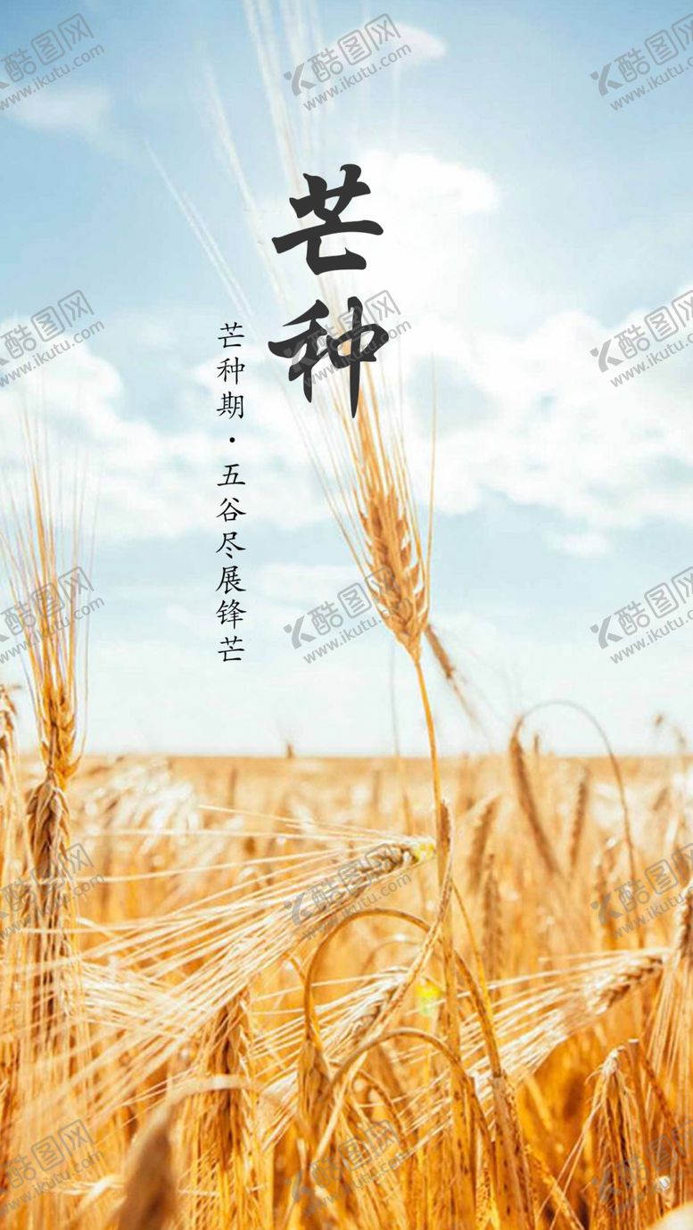 编号：63033710021306432484【酷图网】源文件下载-芒种海报