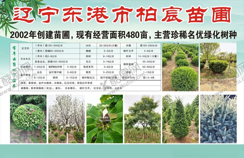 编号：12788210151641137163【酷图网】源文件下载-宣传彩页