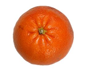 橘子