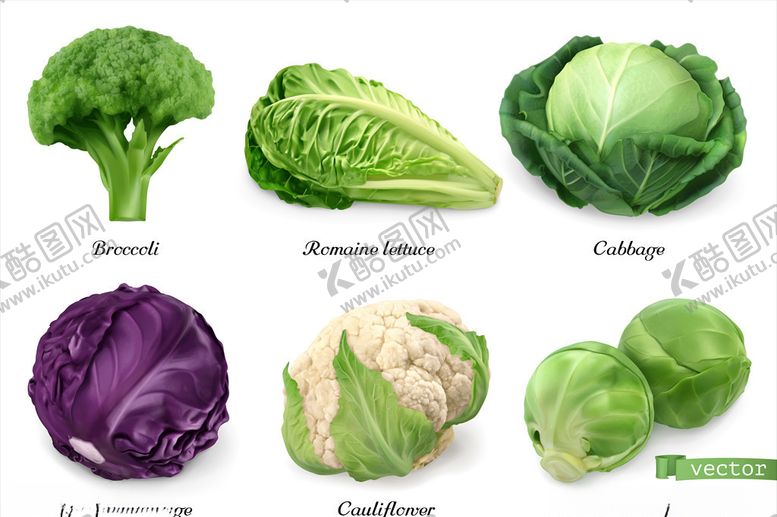 编号：13007510192106292591【酷图网】源文件下载-卡通蔬菜
