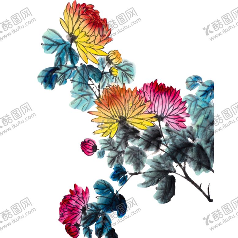 编号：22370010091752528420【酷图网】源文件下载-菊花素材