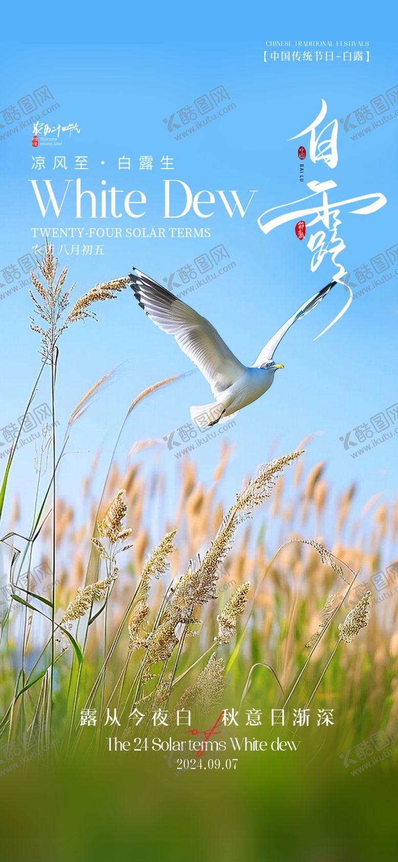编号：15318302171413218614【酷图网】源文件下载-白露海报