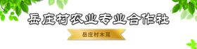 支部领办合作社产品走进城市夜市