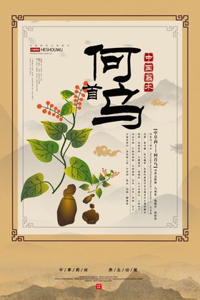 何首乌药材中药传统复古海报