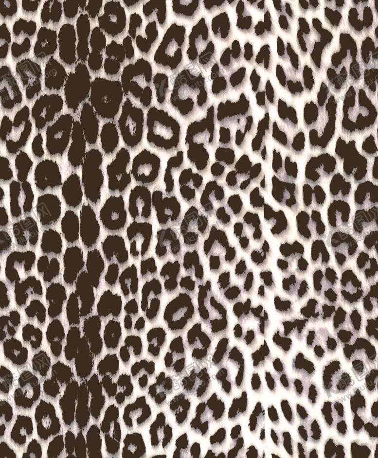 编号：94154810292101311080【酷图网】源文件下载-豹纹