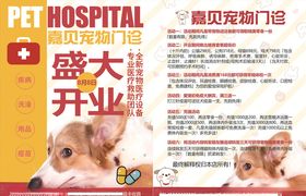 宠物传单
