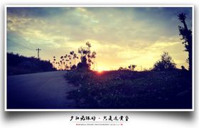 夕阳2