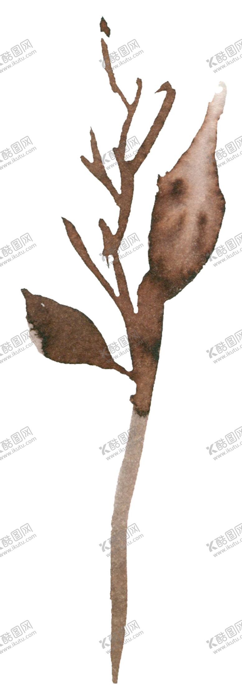 编号：95535310171045506881【酷图网】源文件下载-水彩树叶 
