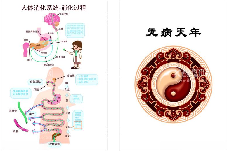 编号：76919112141527157804【酷图网】源文件下载-调理图