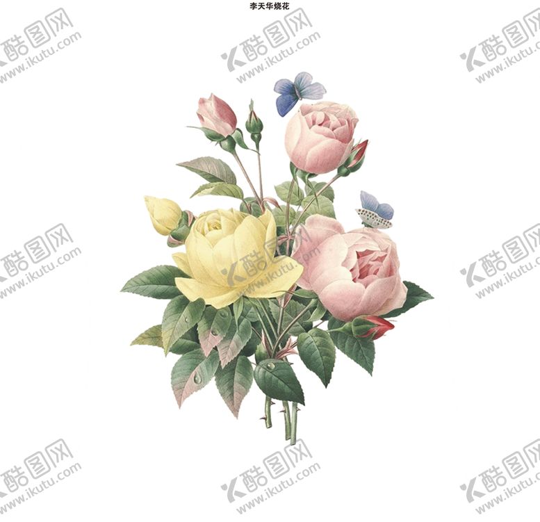 编号：66632907131357455522【酷图网】源文件下载-手绘花