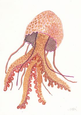 北欧风格淡色水彩画鱼