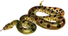 蟒蛇