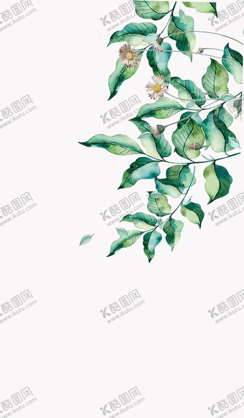 编号：58489106260840566590【酷图网】源文件下载-花叶