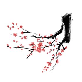 梅花素材