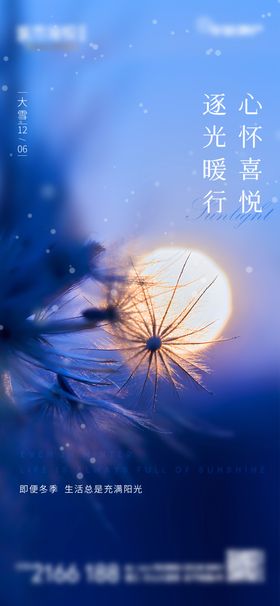 大雪节气海报房地产蒲公英二十四