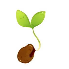 小嫩芽苗