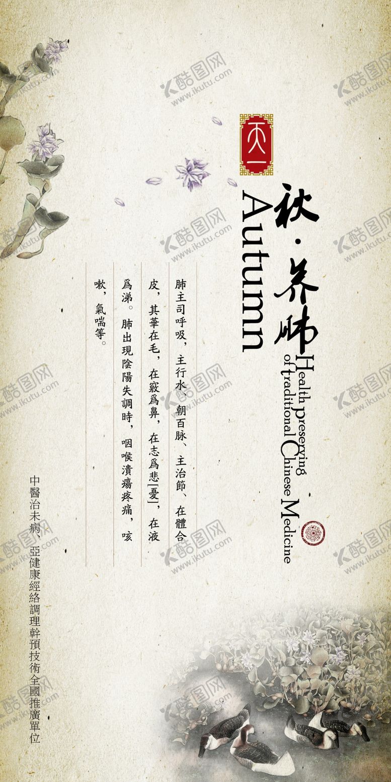 编号：87704206152341072945【酷图网】源文件下载-养生健康海报