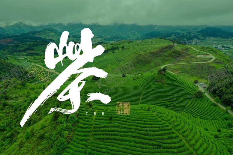 编号：91033702142235407587【酷图网】源文件下载-茶园海报
