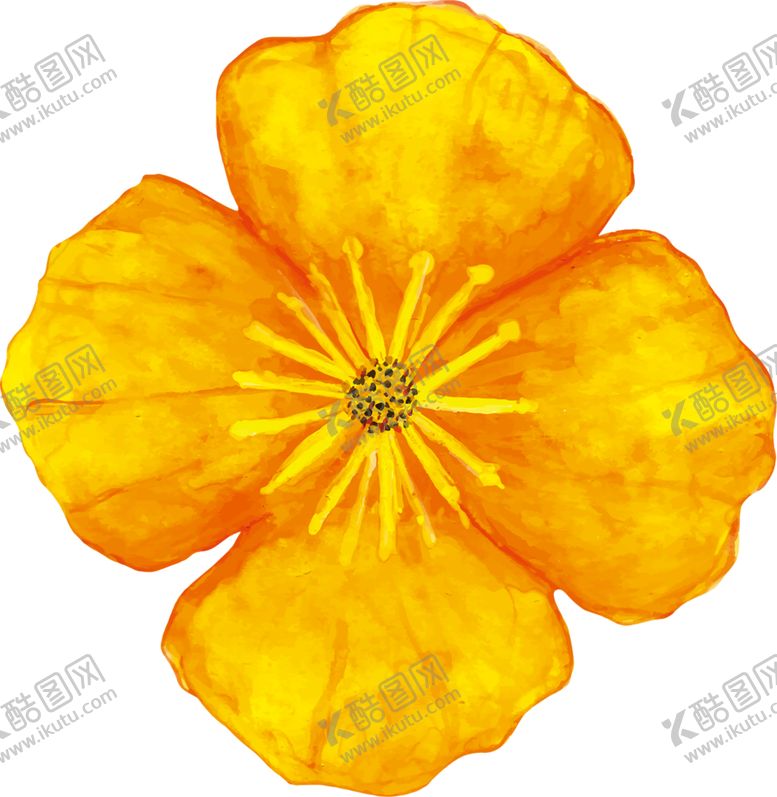 编号：47702210240955034438【酷图网】源文件下载-鲜花素材