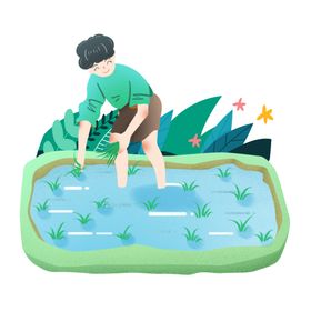 插秧