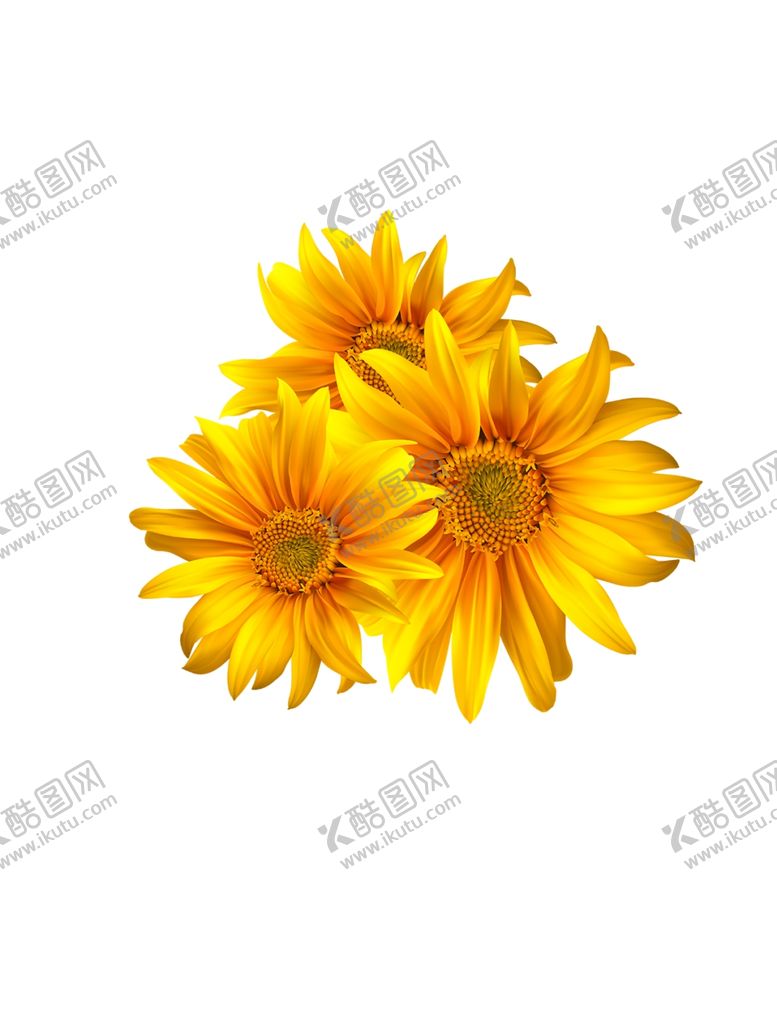 编号：44462507131604188001【酷图网】源文件下载-向日葵