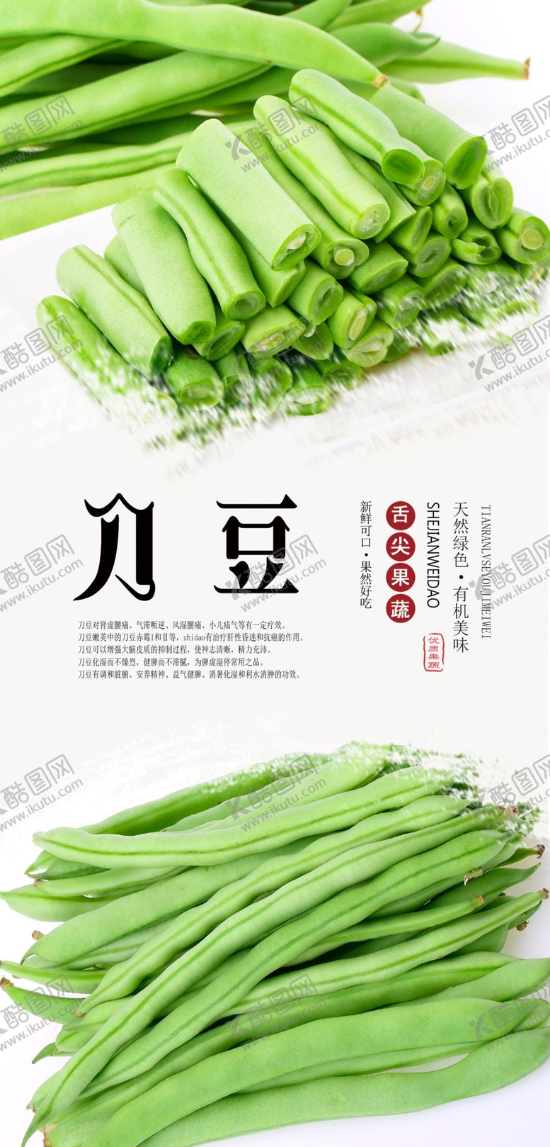 编号：31632107130136564627【酷图网】源文件下载-刀豆海报