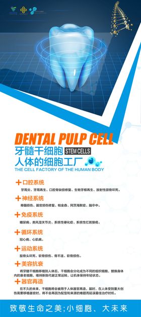 干细胞海报