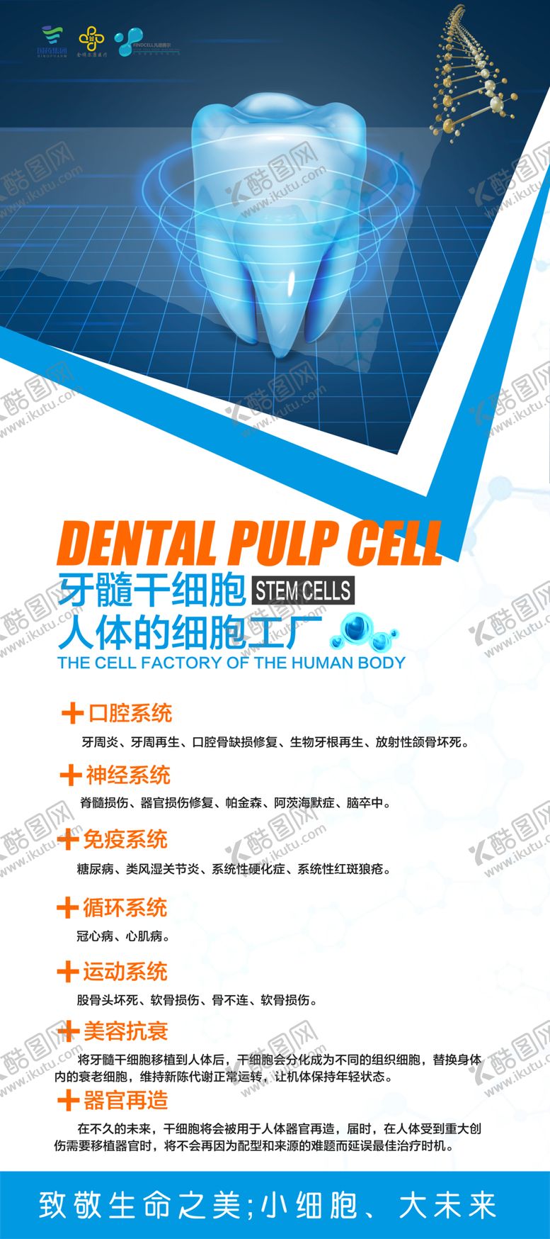 编号：41398109190031514306【酷图网】源文件下载-干细胞海报