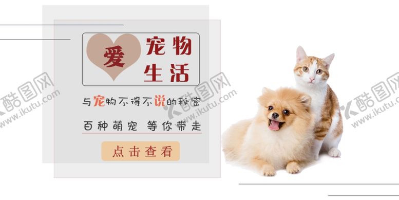 编号：21706909170050507155【酷图网】源文件下载-宠物