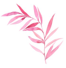 花卉
