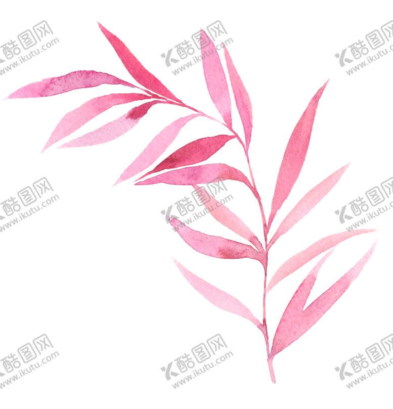 编号：86284610131847543049【酷图网】源文件下载-花卉