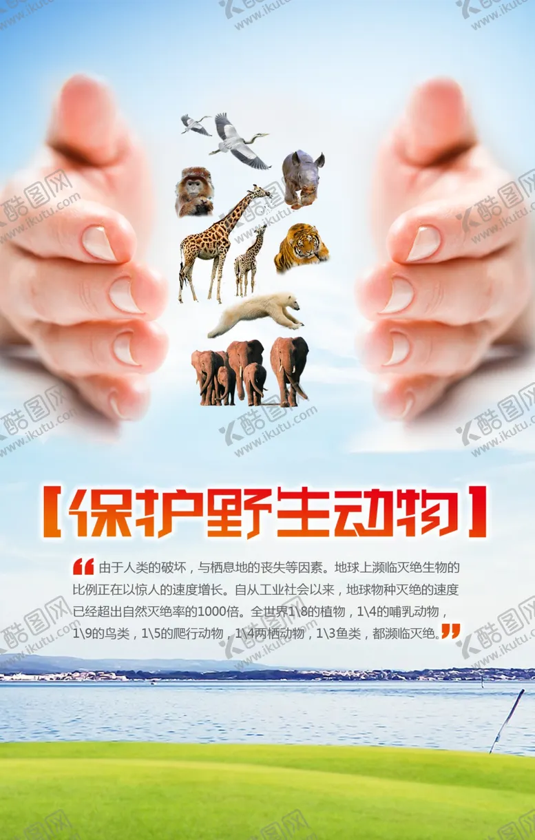 编号：37524806270204176380【酷图网】源文件下载-保护野生动物