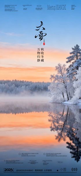 大雪节气写实海报