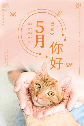 5月你好