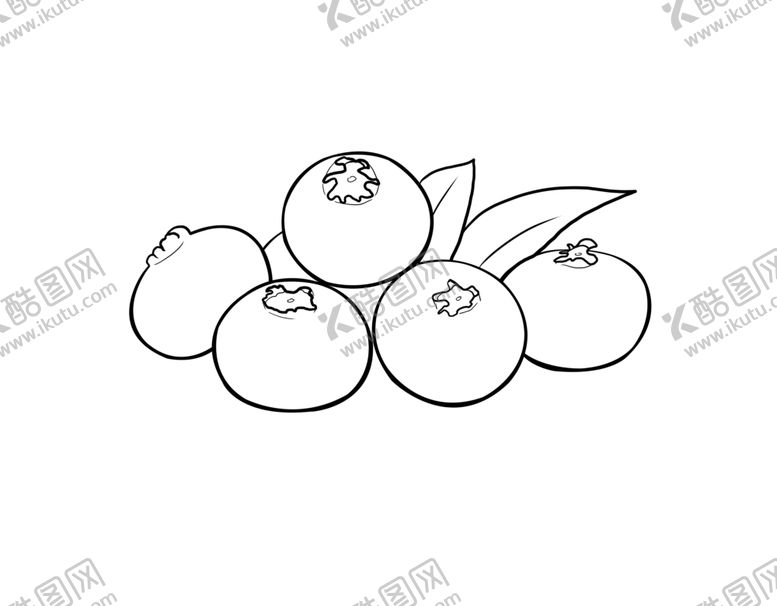 编号：93381910051603206466【酷图网】源文件下载-蓝莓