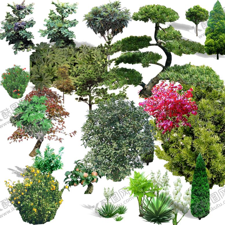 编号：38716806301420457258【酷图网】源文件下载-绿色植物