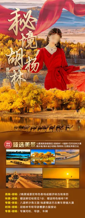 秘境胡杨林海报