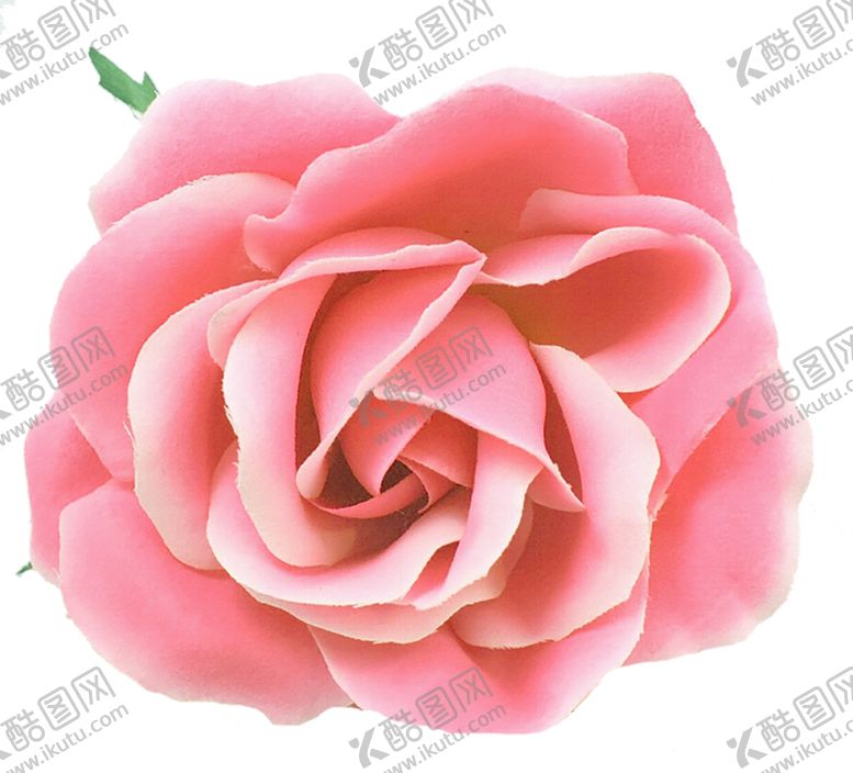 编号：24672309231138009737【酷图网】源文件下载-鲜花素材