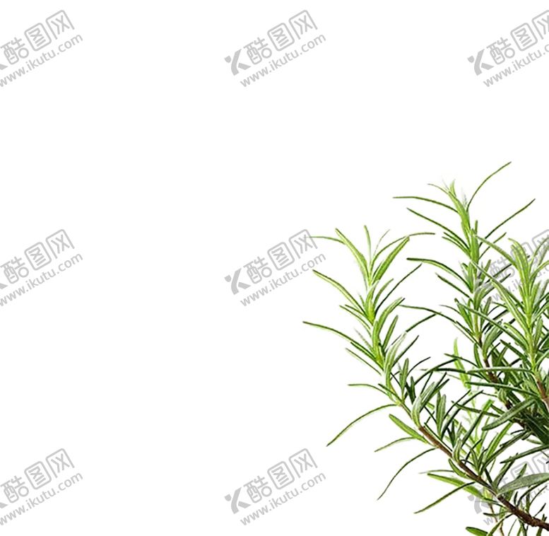 编号：55033310030923467316【酷图网】源文件下载-绿色相框