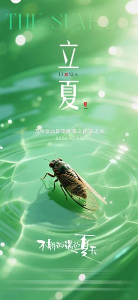 立夏质感节气海报