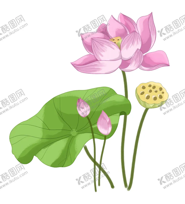 编号：50816604170917332384【酷图网】源文件下载-荷花元素