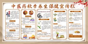 中医养生宣传页展示