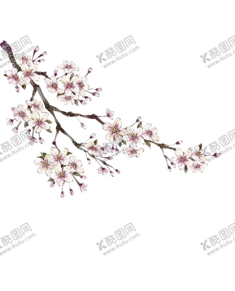 编号：62639802031535457434【酷图网】源文件下载-梅花桃花PNG 