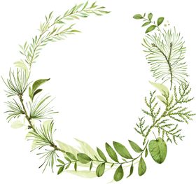 手绘植物叶子