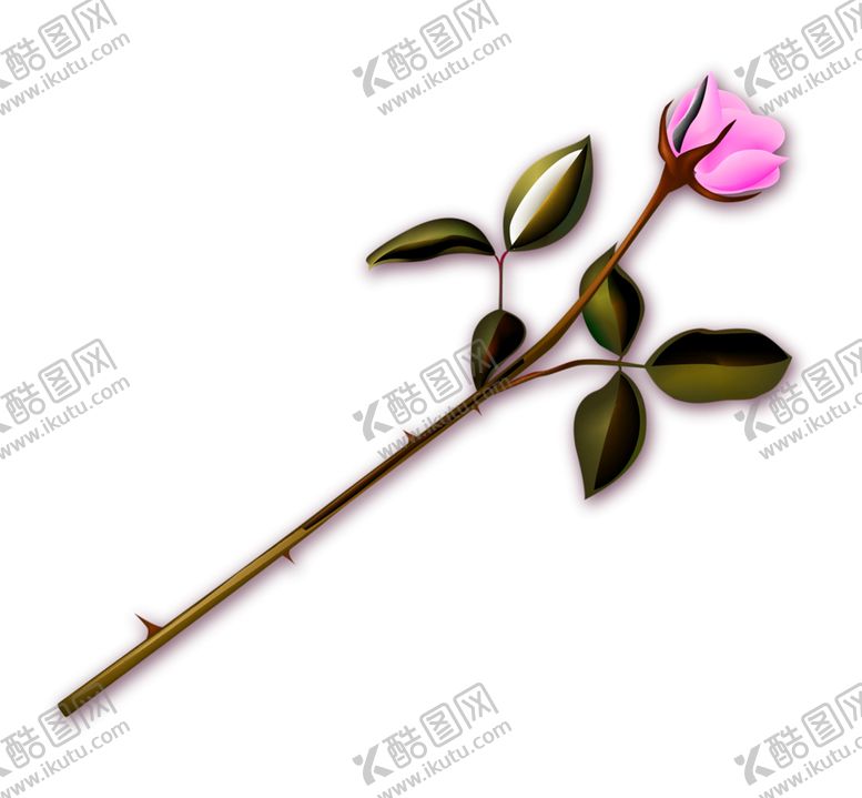 编号：58086607130040317647【酷图网】源文件下载-鲜花素材