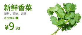 香菜食品海报香菜海报