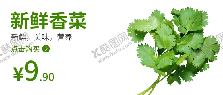 编号：55865106250844482337【酷图网】源文件下载-香菜食品海报香菜海报