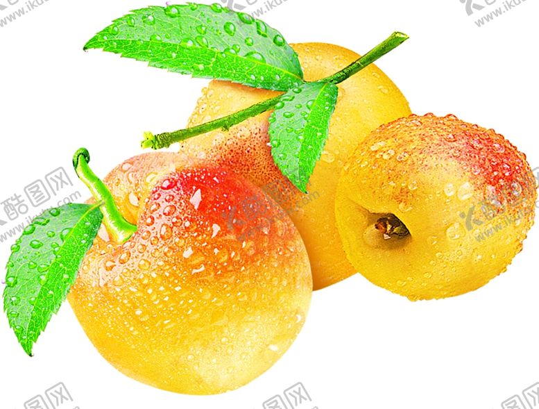 编号：64571206170111129981【酷图网】源文件下载-西梅
