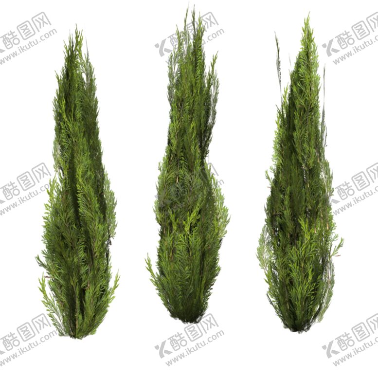 编号：44999106261924254437【酷图网】源文件下载-小清新植物